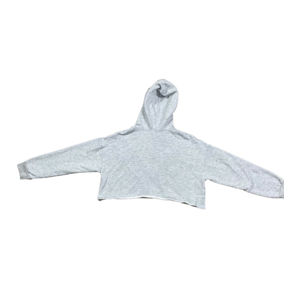 Allard State Gray Cropped Hoodie Sweatshirt Large - Picture 3 of 7